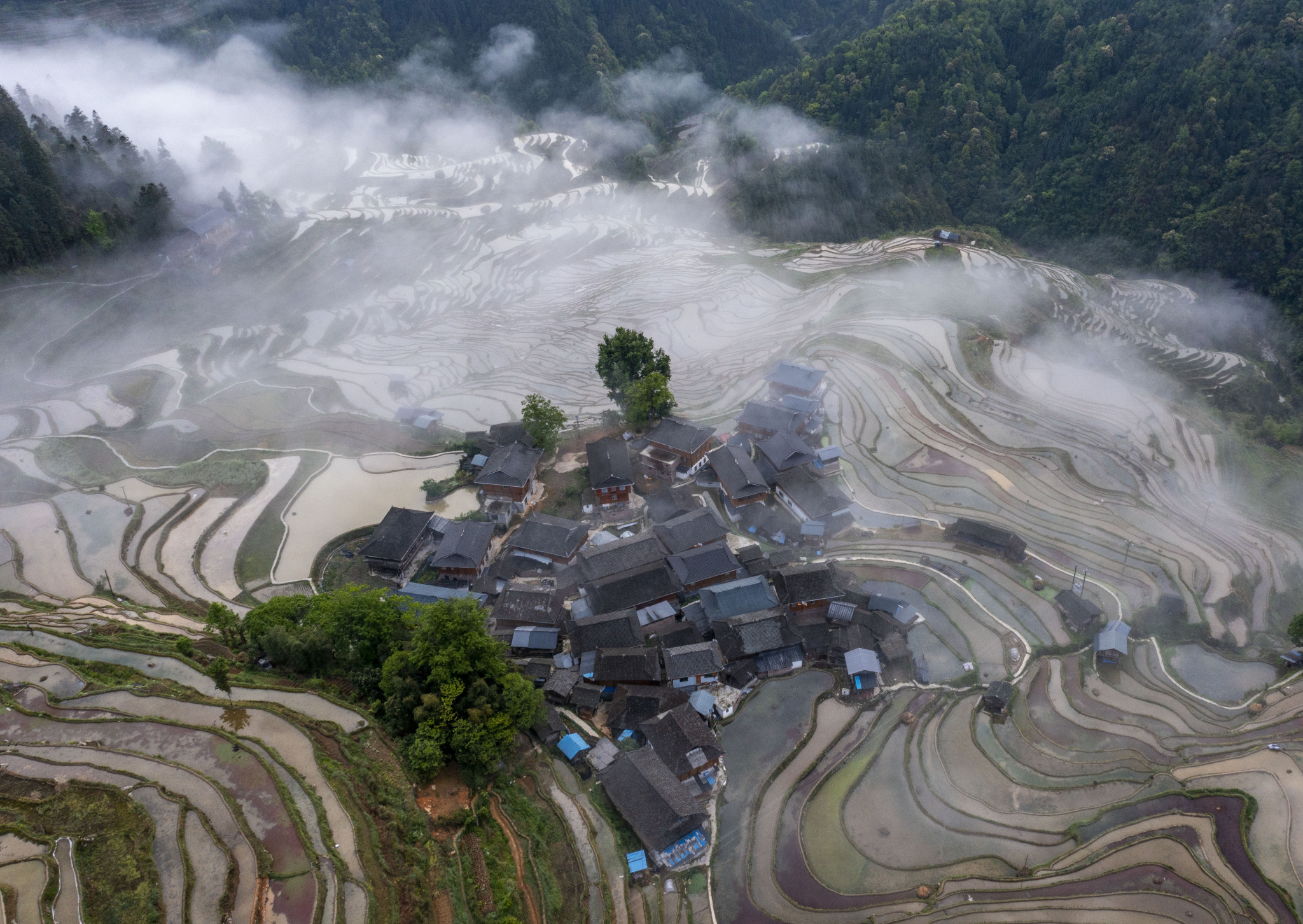 贵州黔东南加榜梯田云雾缭绕