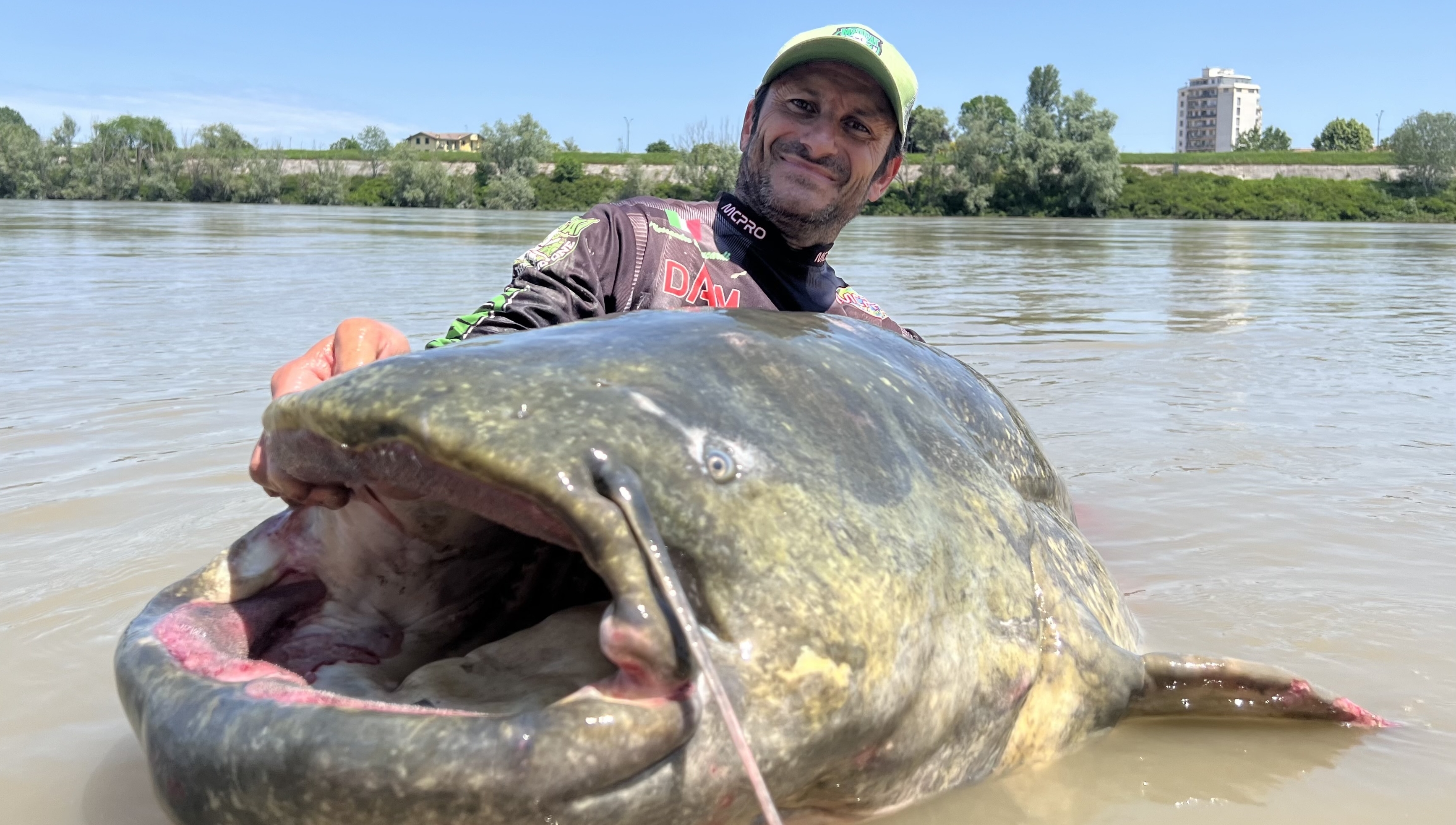 意大利渔民捕获巨型鲶鱼