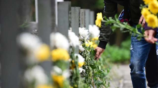 民政部：各地要统筹做好疫情防控和清明祭扫工作