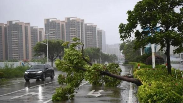 台风“马鞍”进入广西 风力已降到9级