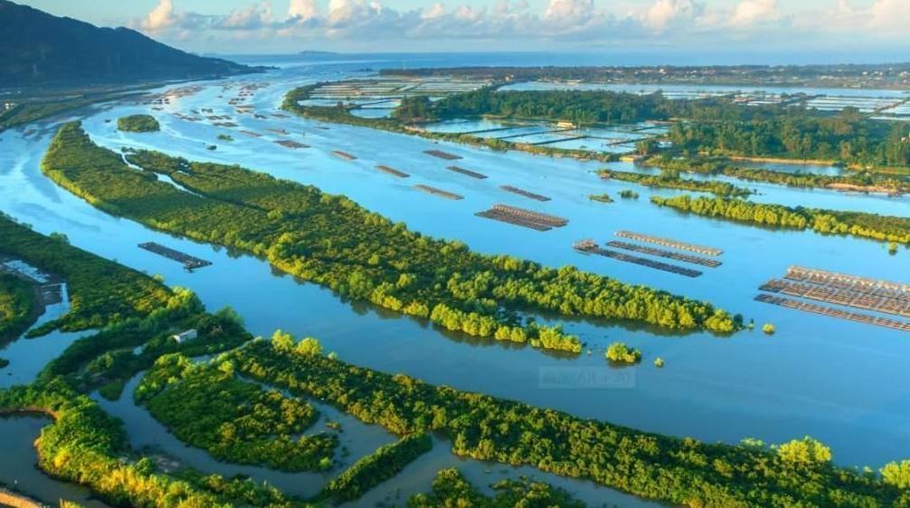 我国新增18处国际重要湿地，湿地总面积世界第四