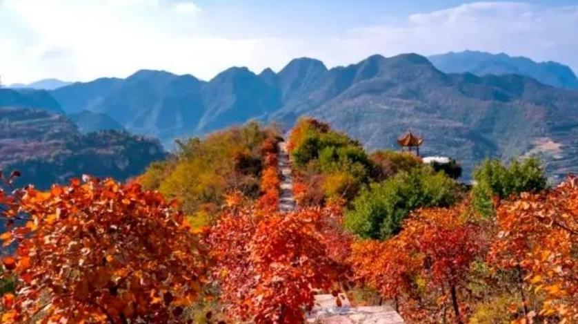 全国重阳节出游天气地图出炉！看哪里适宜登高赏秋