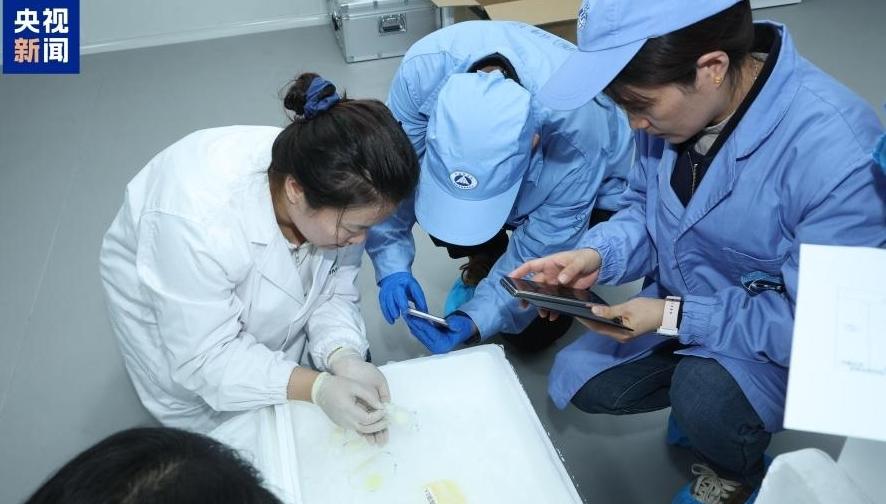 中国空间站第九批实验样品返回并交付科学家