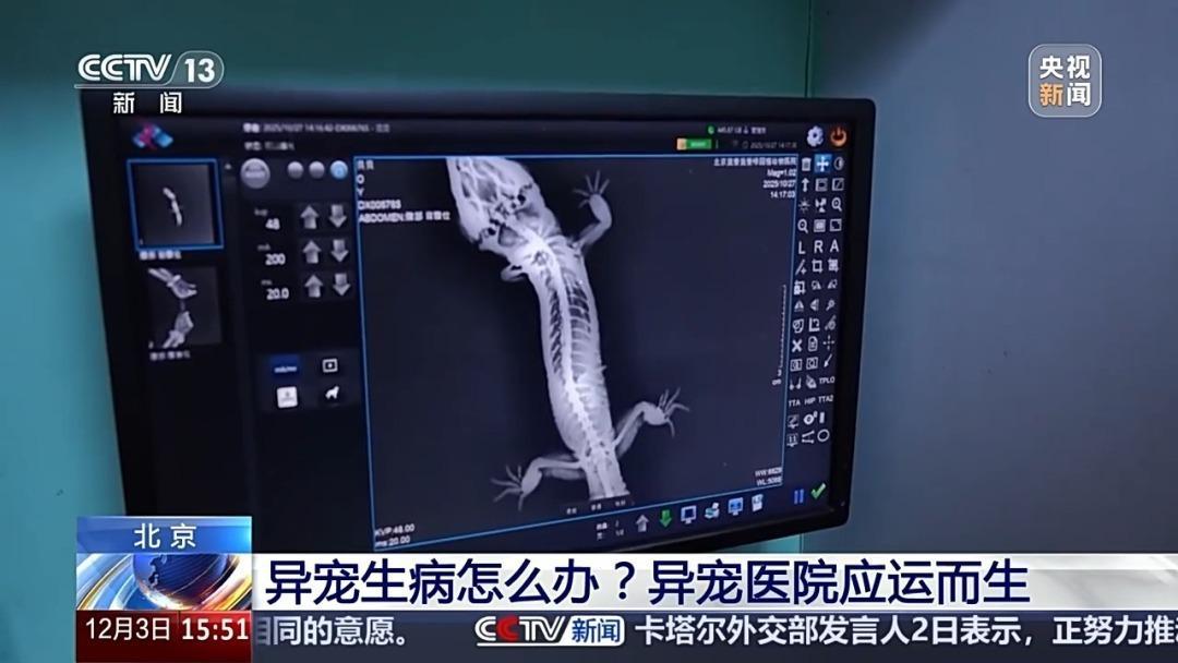 “异宠”虽潮,饲养有道!警惕生物安全风险,勿碰法律红线