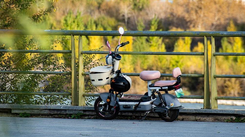 2G退网致部分电动车功能无法使用 用户权益怎维护