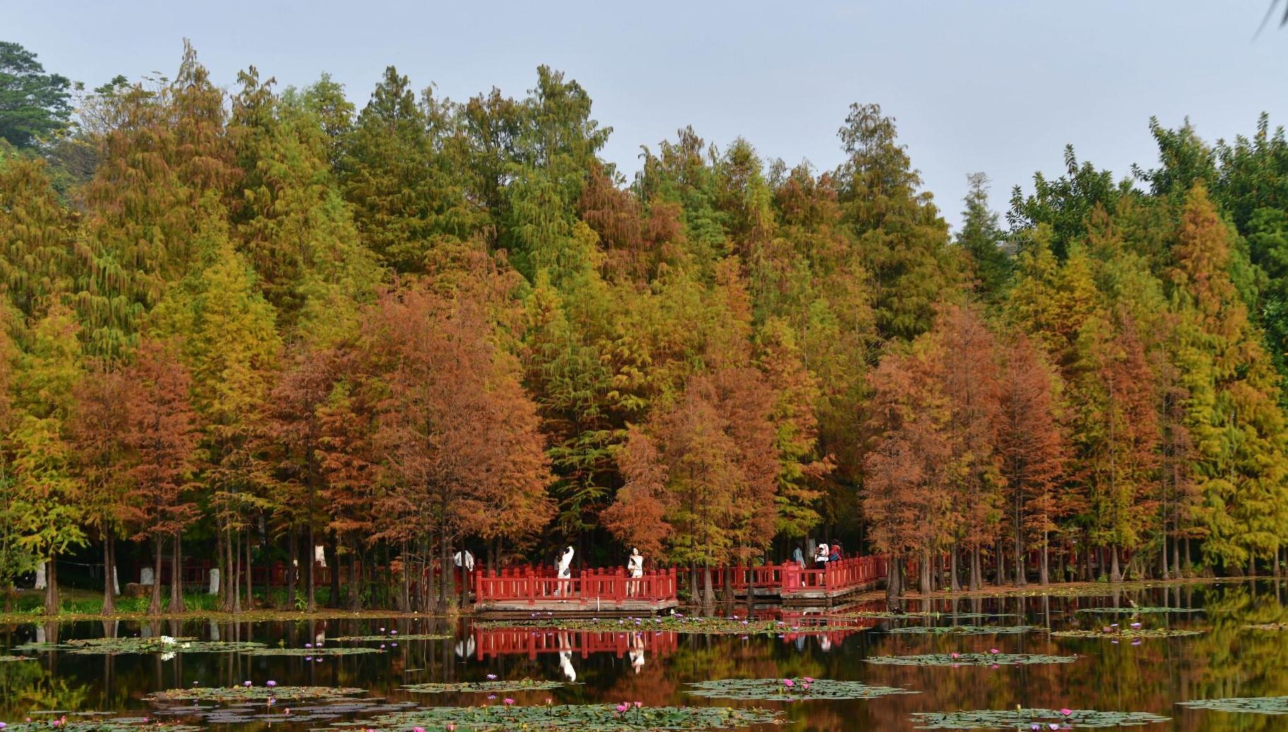我国大部将出现明显降温 多地气温创下半年来新低