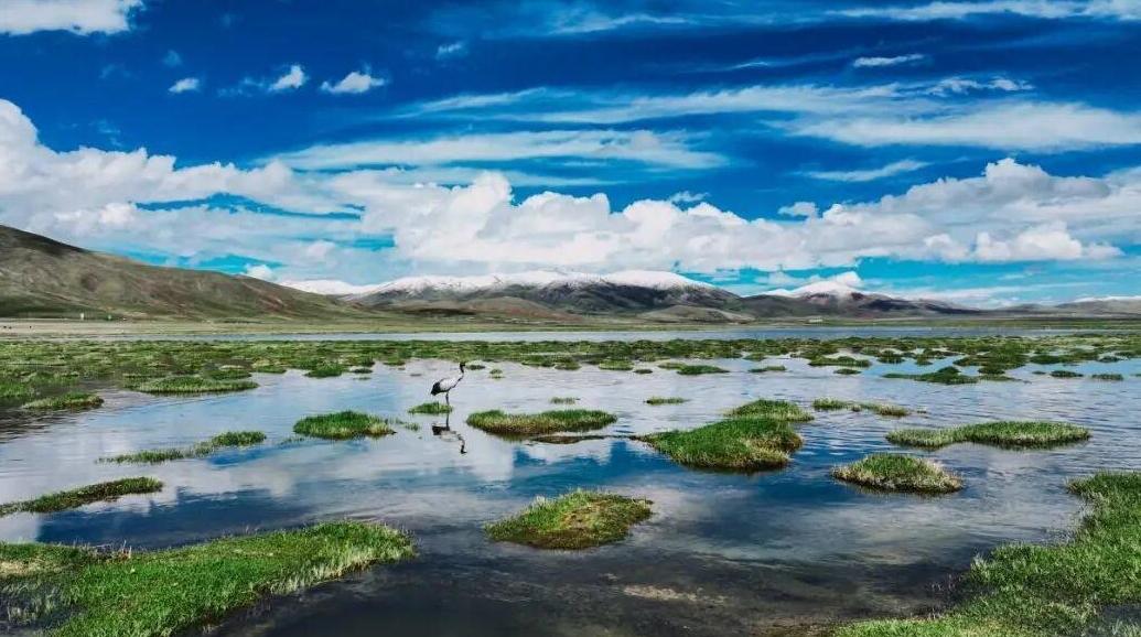 国家公园法施行，十大看点了解新变化