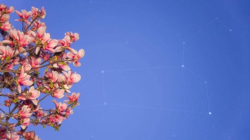 6日深夜至7日凌晨 天宇将现趣味天象月掩轩辕十四