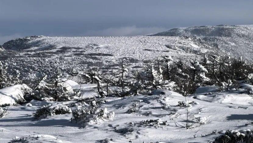 5人违规穿越“鳌太线”，3人遇难！搜救经过还原→