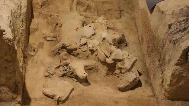 秦兵马俑考古新发现：二号坑发掘出土两乘战车