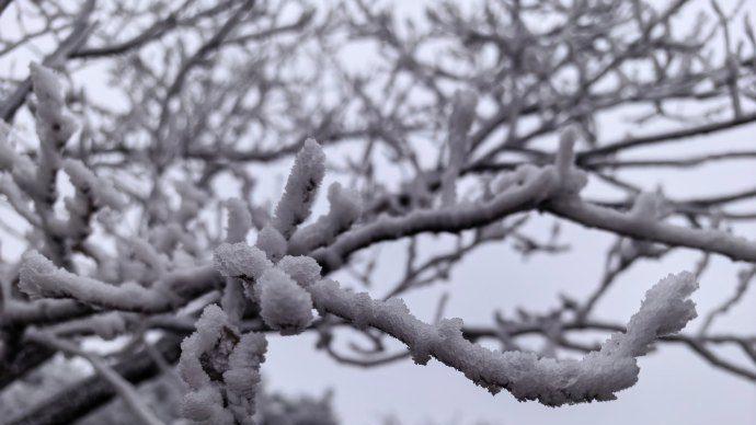 针对四省，国家低温雨雪冰冻灾害四级应急响应启动