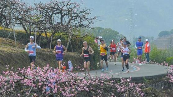 2024奉化马拉松开跑 台湾跑团“跑”进浪漫“桃花源”