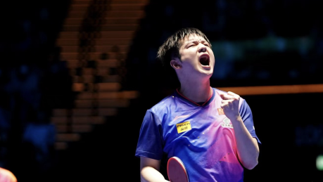 乒乓球男子世界杯八强出炉，国乒主力占半数席位