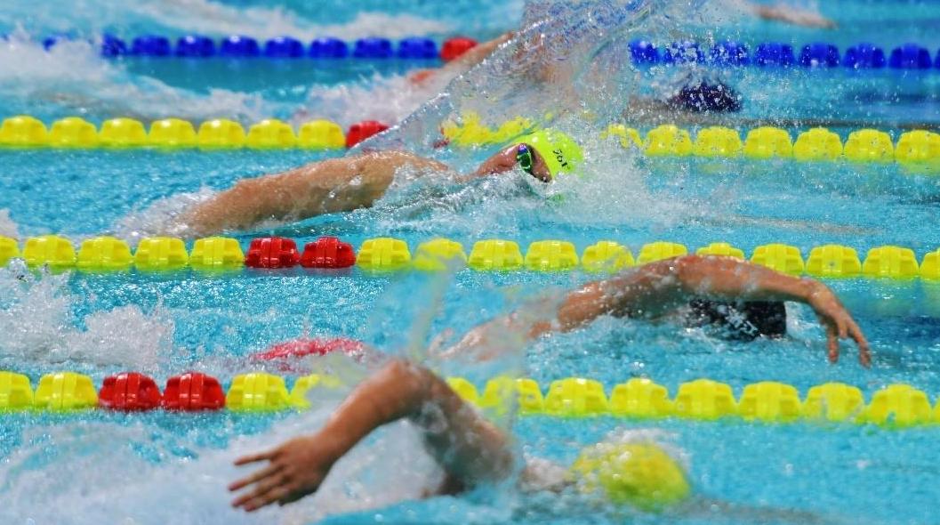 十五运会游泳比赛首日星光熠熠，汪顺潘展乐孙杨张雨菲等泳坛名将顺利晋级
