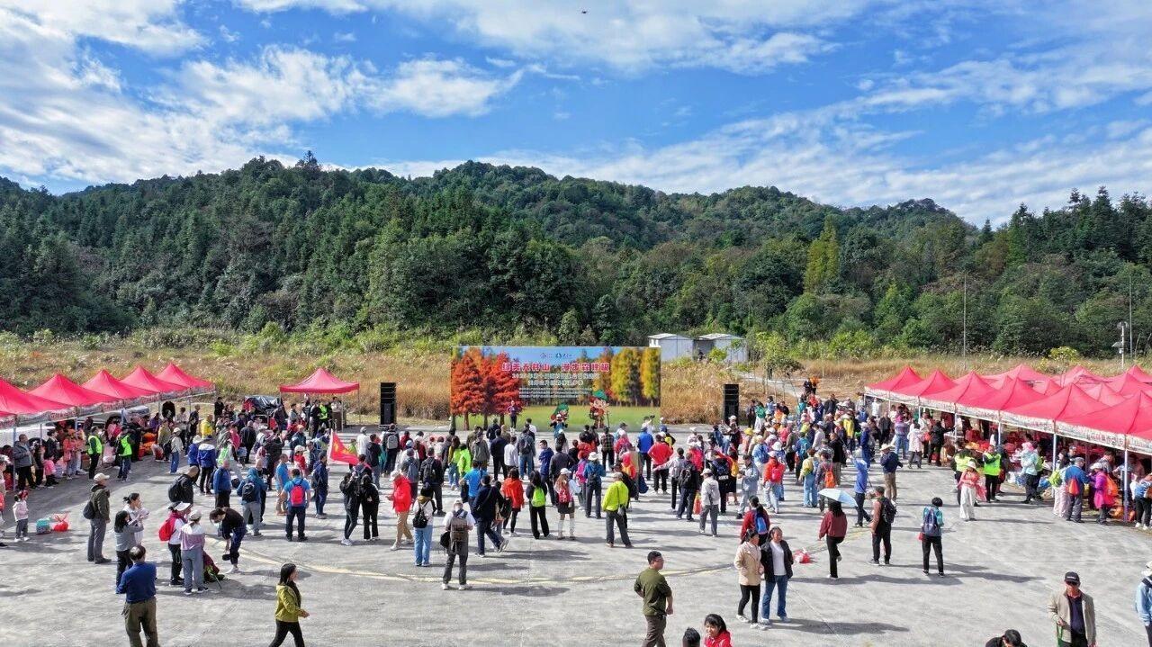 绿美天井山·漫步森呼吸 | 2025年第十届南岭国家公园候选区天井山森林漫步季盛大启幕