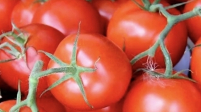 能源價格飆升，丹麥巨頭宣布今冬停產西紅柿和黃瓜