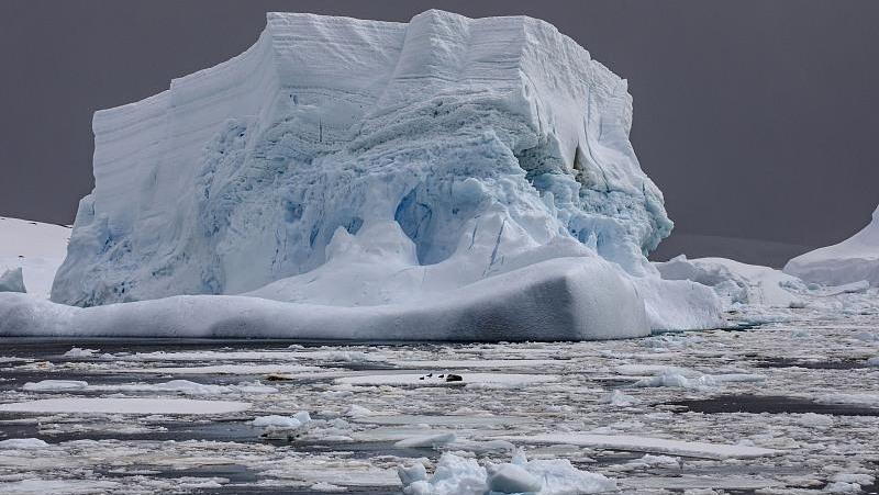 全球海洋变暖 南极今冬海冰最大面积创新低