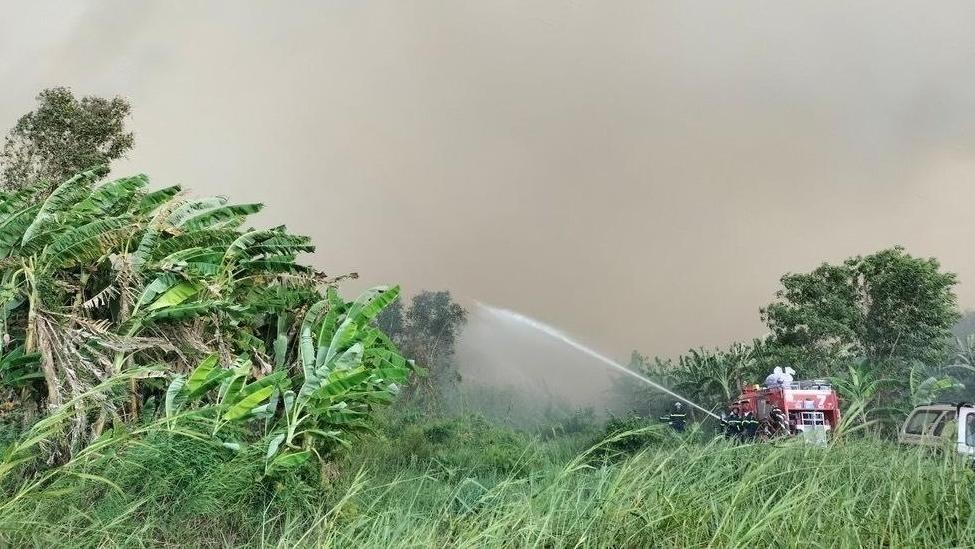 越南南部发生森林火灾 过火面积达数十公顷