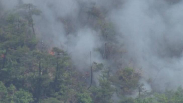 日本山形县发生山火 95公顷山林已被烧毁