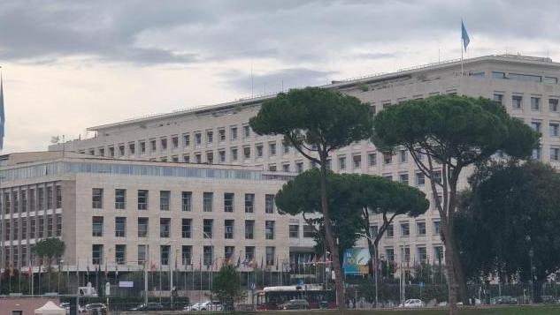 联合国粮农组织:过去30多年全球农业因灾损失超3万亿美元