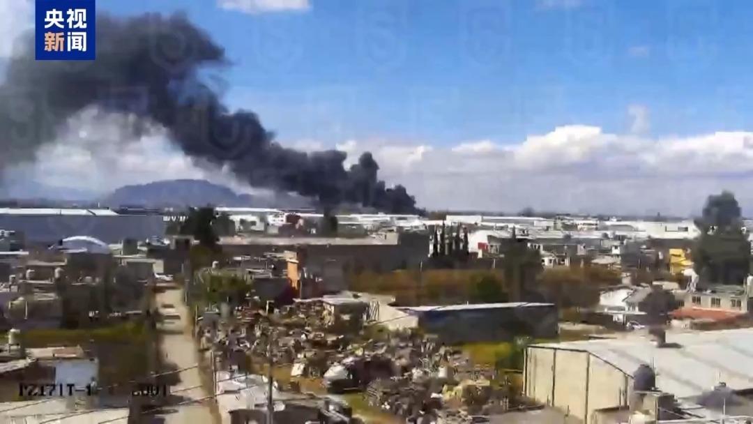 墨西哥一小型飞机坠毁 机上10人全部遇难