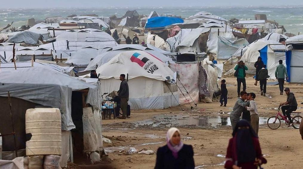 恶劣天气造成加沙严重人员伤亡和财产损失