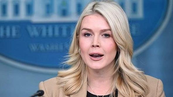 欧洲多国向格陵兰岛派遣军事人员 白宫：影响不了特朗普