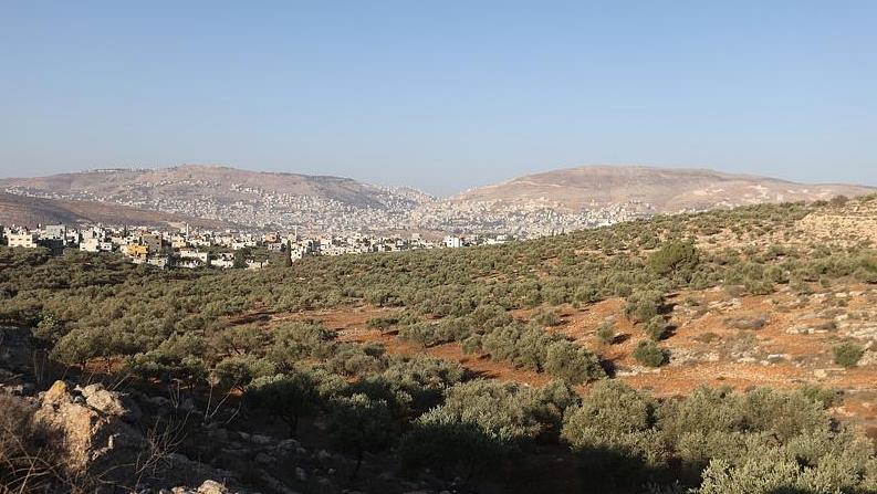 以军及以犹太人定居者袭击约旦河西岸多地 致1死多伤