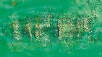 “南海西北陆坡一号、二号沉船遗址”入选全国十大考古新发现