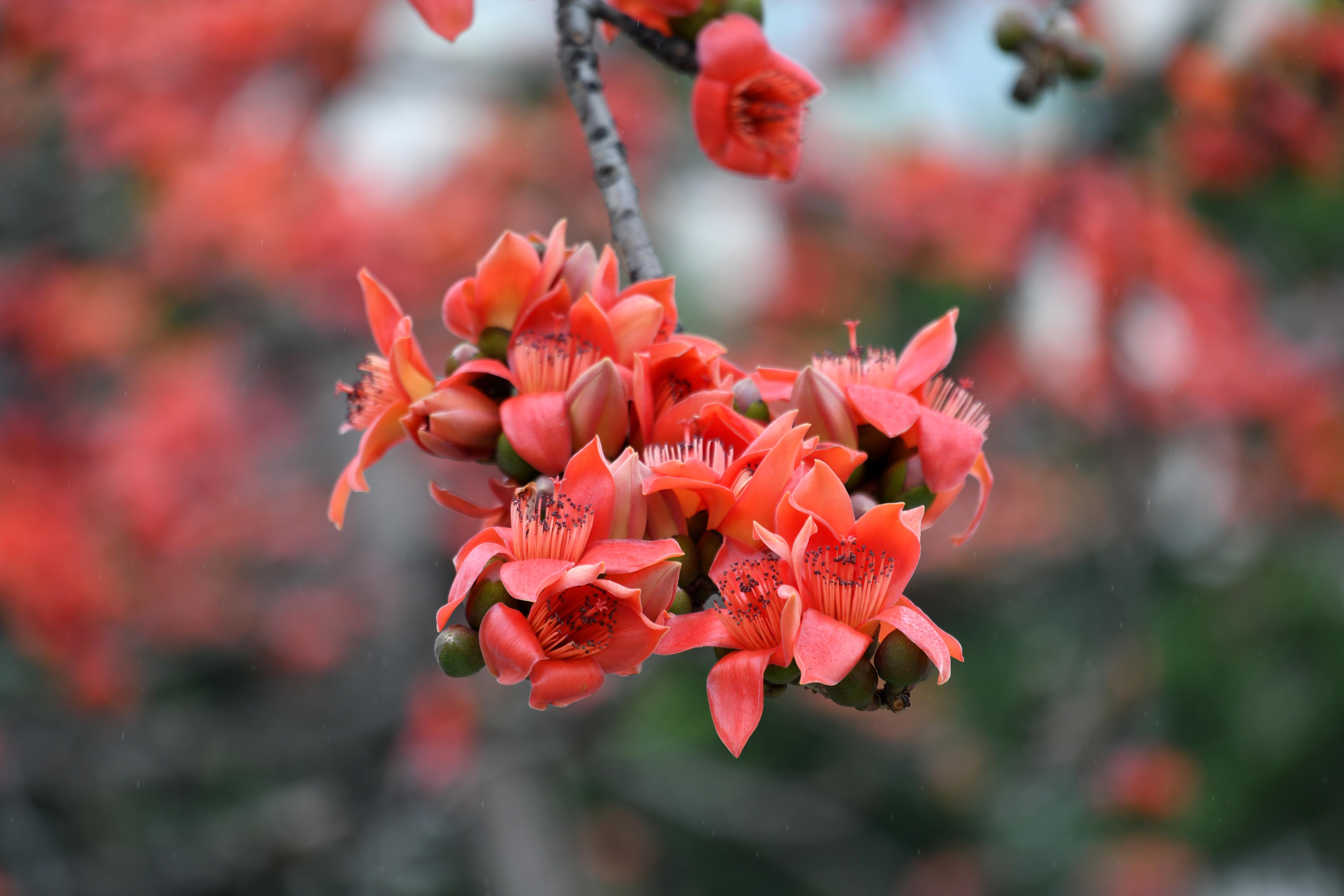 杨耀烨-YYY_3432-NEP1_20240229_C00411612222