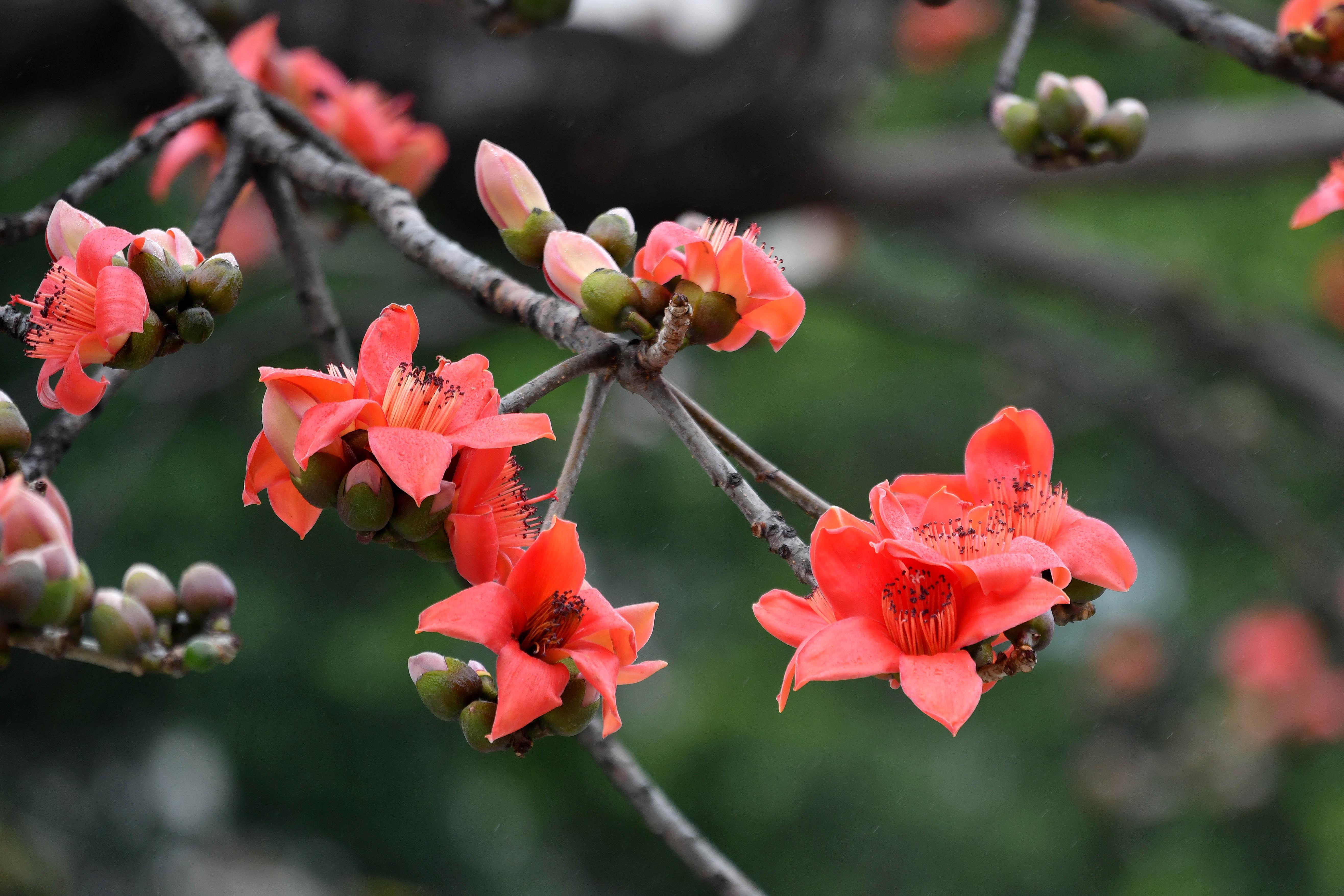 杨耀烨-YYY_3452-NEP1_20240229_C00411612226