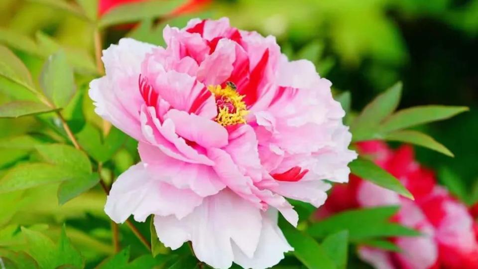 菏泽，向世界发出邀请！