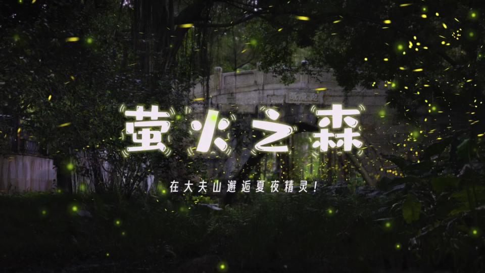 萤火之森丨在大夫山邂逅夏夜精灵！