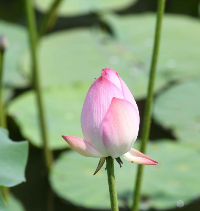 微信图片_20240615193659