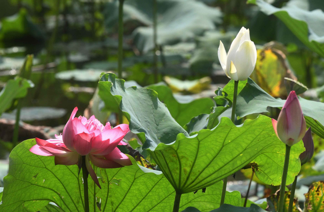 微信图片_20240615193651