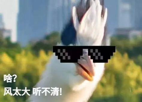 519054b415023ea4f79de23ef9d10b6e.jpg 519054b415023ea4f79de23ef9d10b6e.jpg