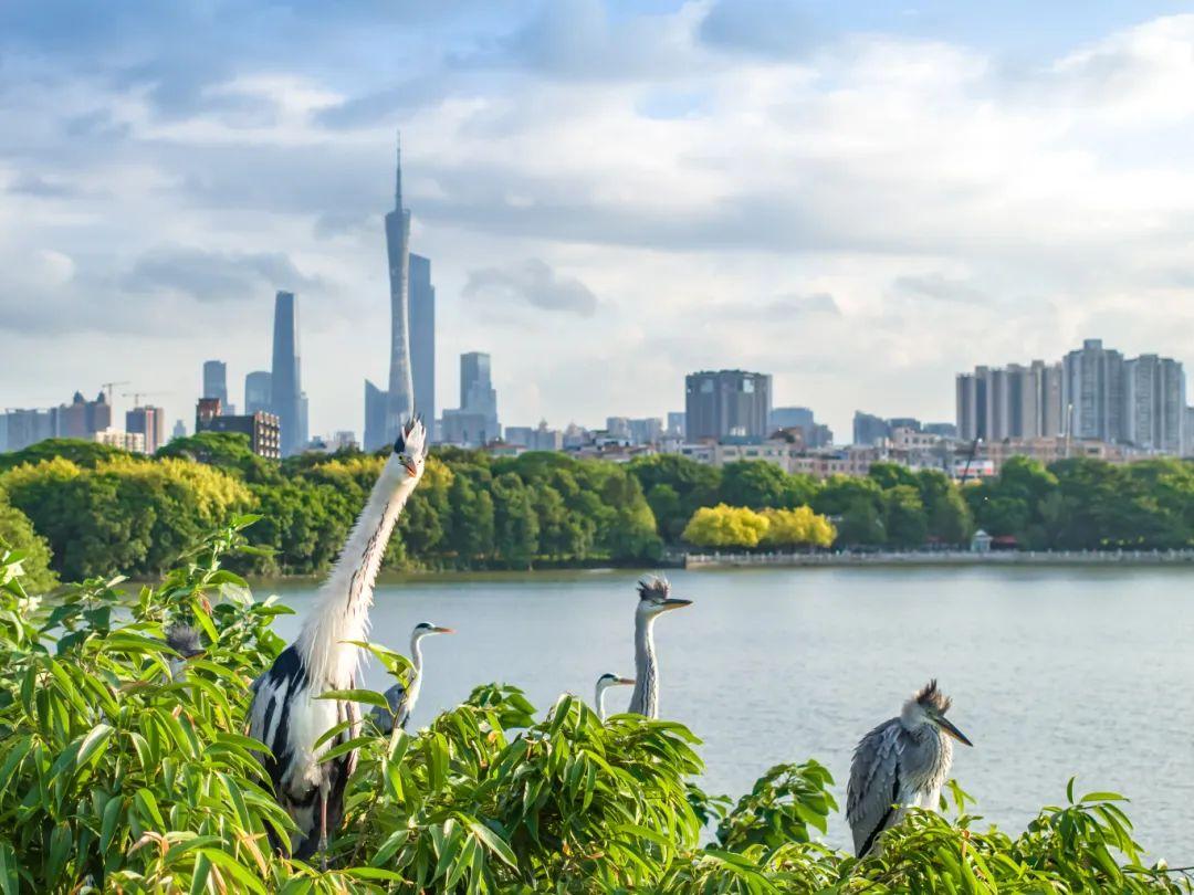 88431c34c9cb1b2793bc1e12c789ee0b.jpg 88431c34c9cb1b2793bc1e12c789ee0b.jpg