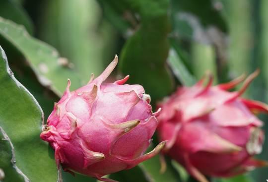 961e3c53429f43a6a33dd32f3c2f1c13_watermark