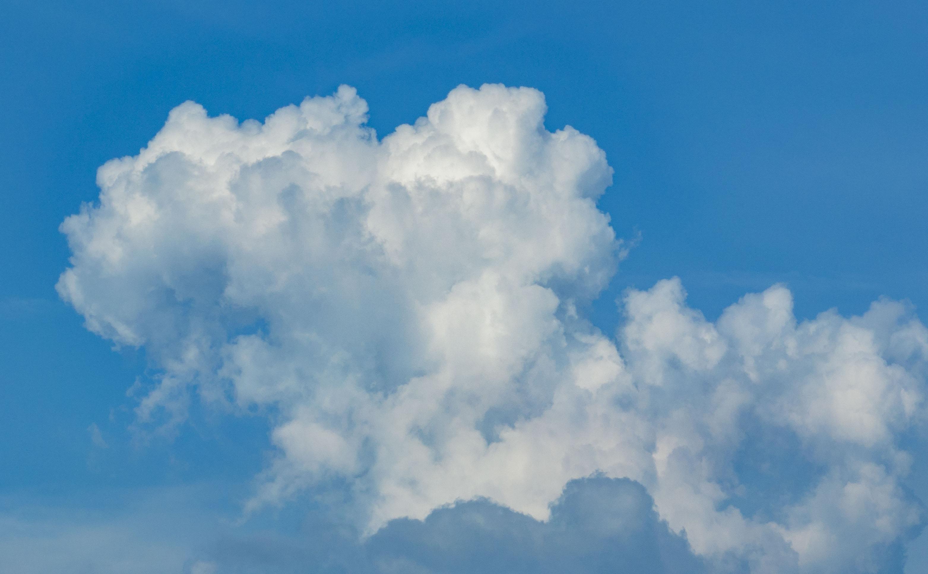 廖雪明-lxm240709 (10)-FZ100212256926.jpg