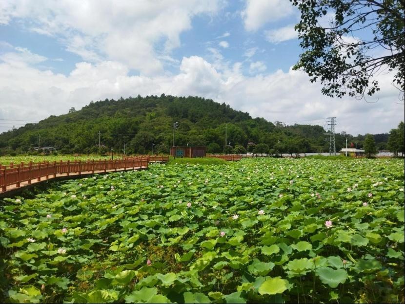 增城幸福田园基地图片