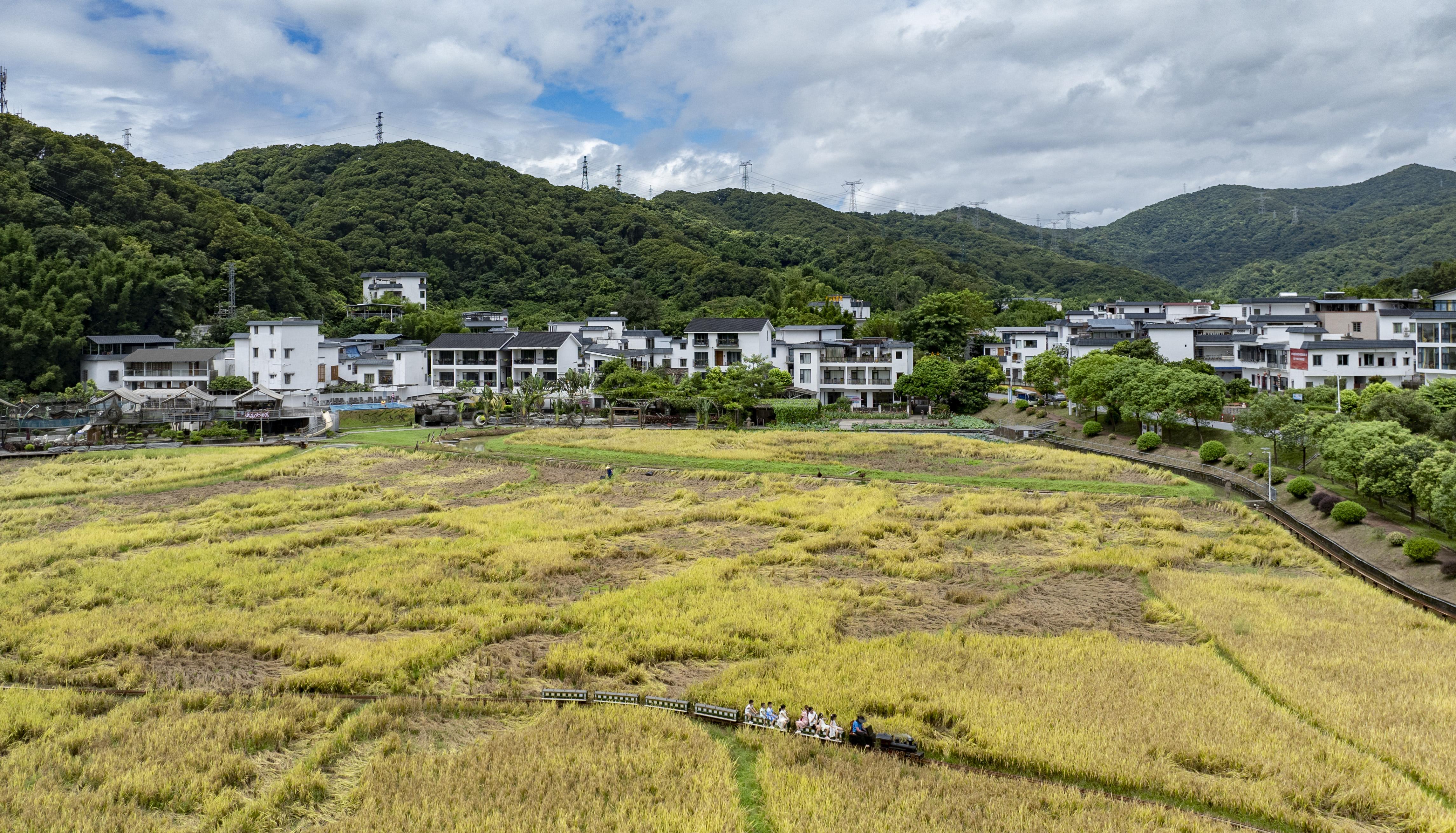 廖雪明-lxm2407301 (5)-NEP1_20241005_C00412720143