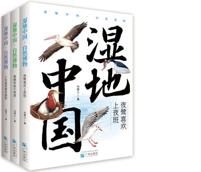 2047ff2e3594439fa5c1c9d3b6333f0e.png 2047ff2e3594439fa5c1c9d3b6333f0e.png