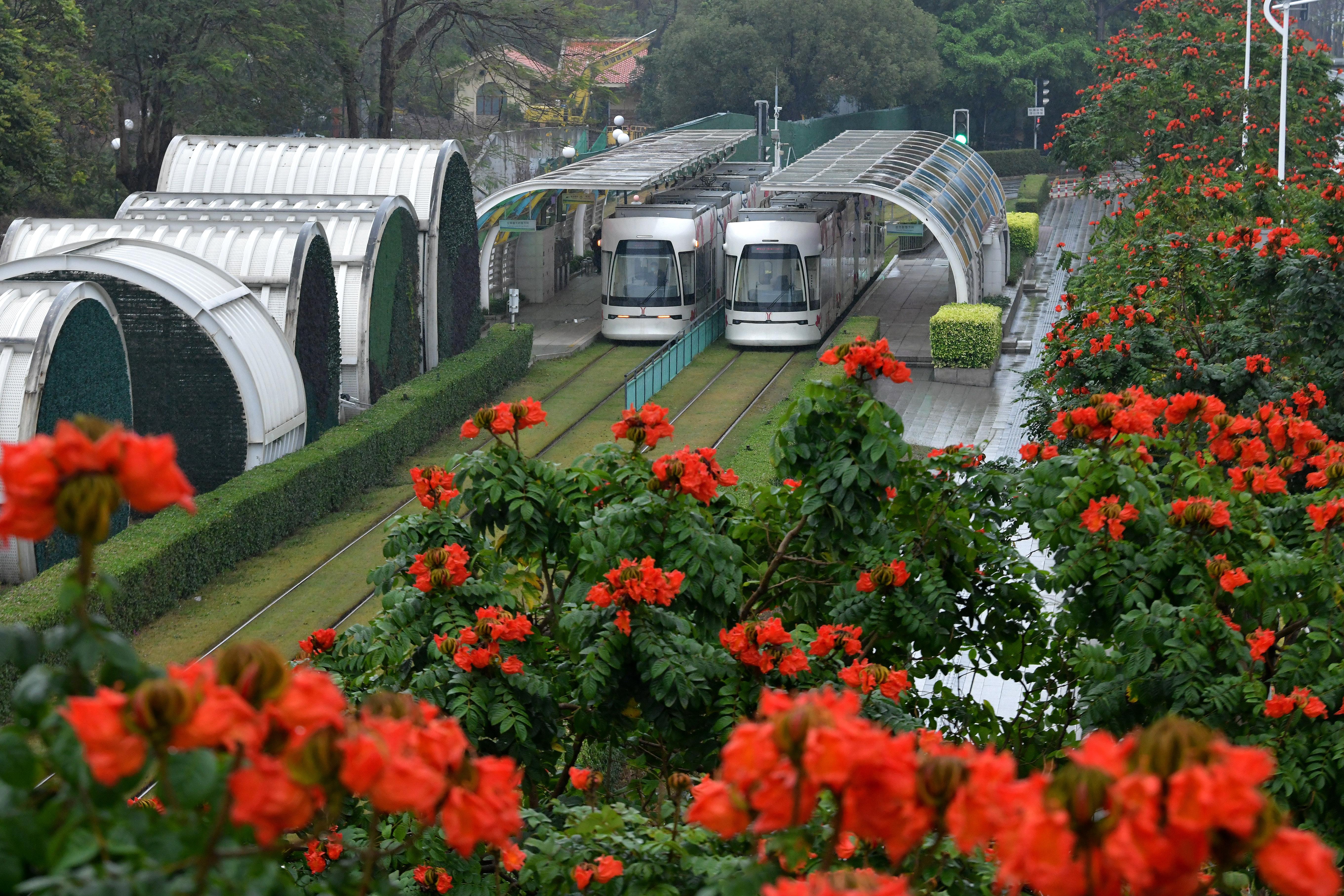 杨耀烨-YYY_3149-NEP1_20250308_C00413488967