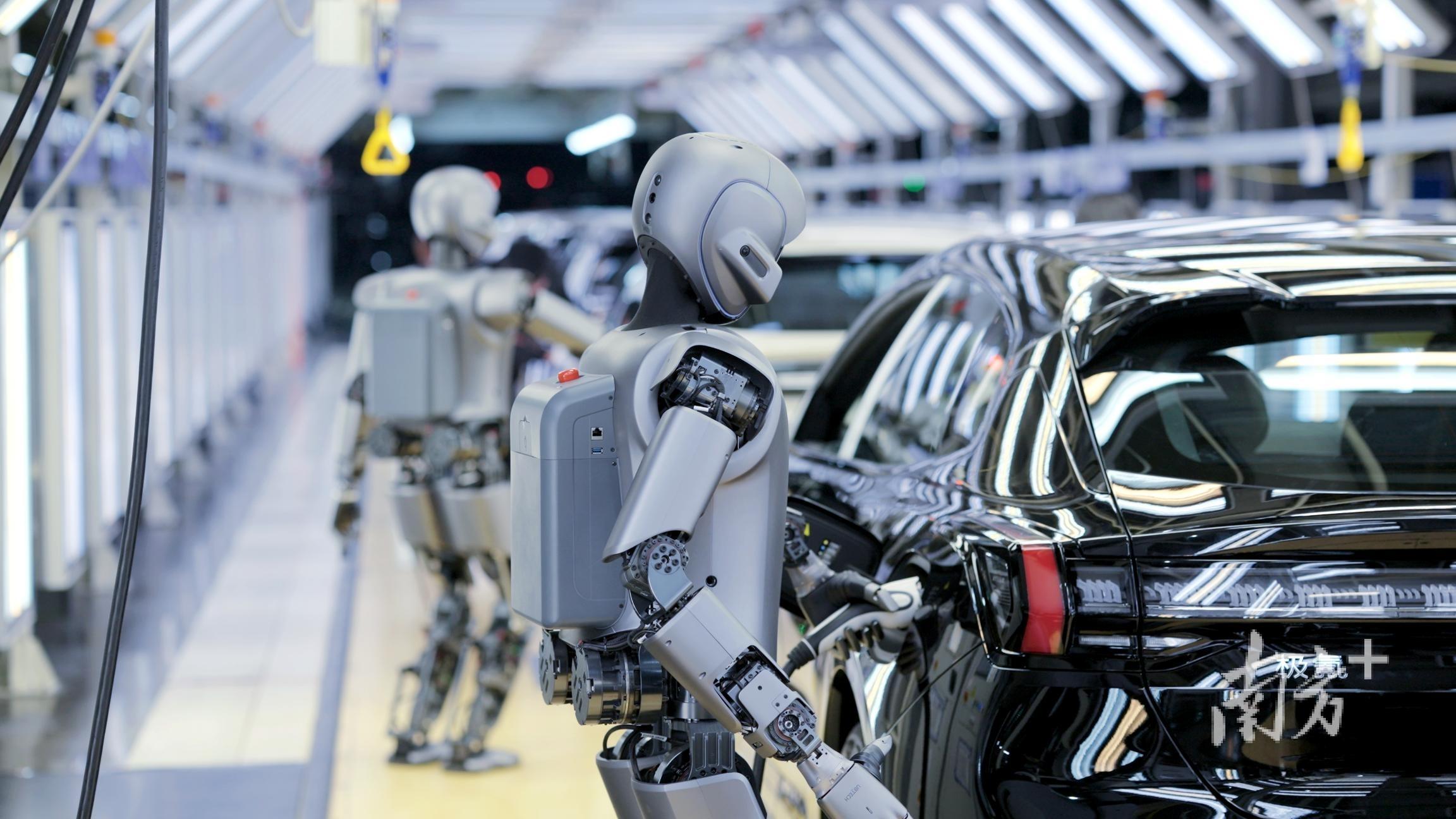 深圳优必选公司推出的工业人形机器人正在开展协同实训。南方+记者 朱洪波 通讯员 罗艳 摄 深圳优必选公司推出的工业人形机器人正在开展协同实训。南方+记者 朱洪波 通讯员 罗艳 摄