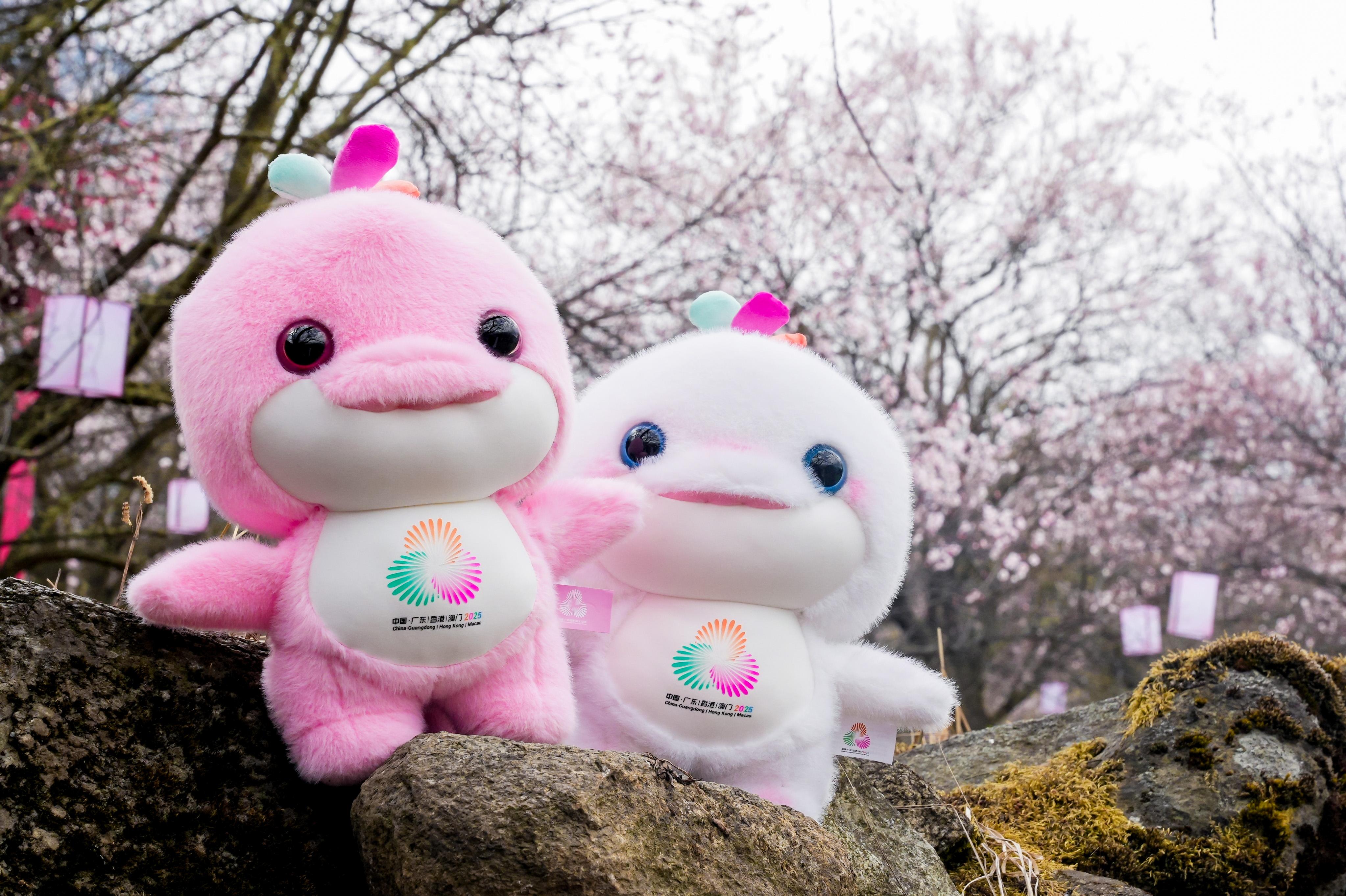 DSC08101-opq3551960345