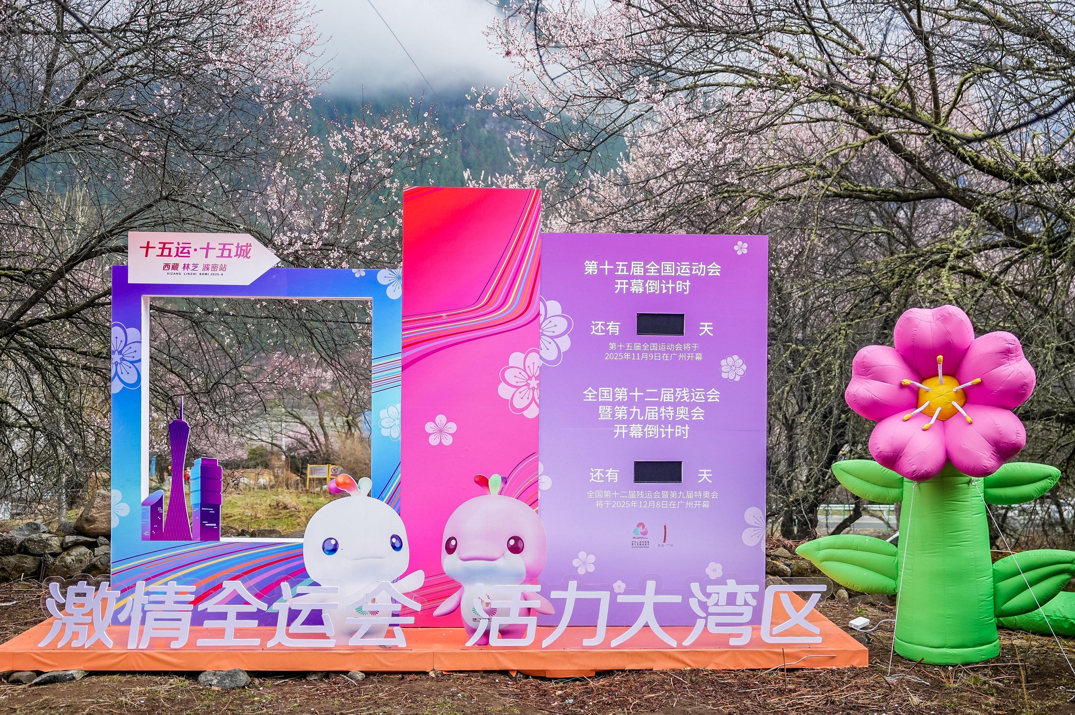 DSC07834-opq3551485065