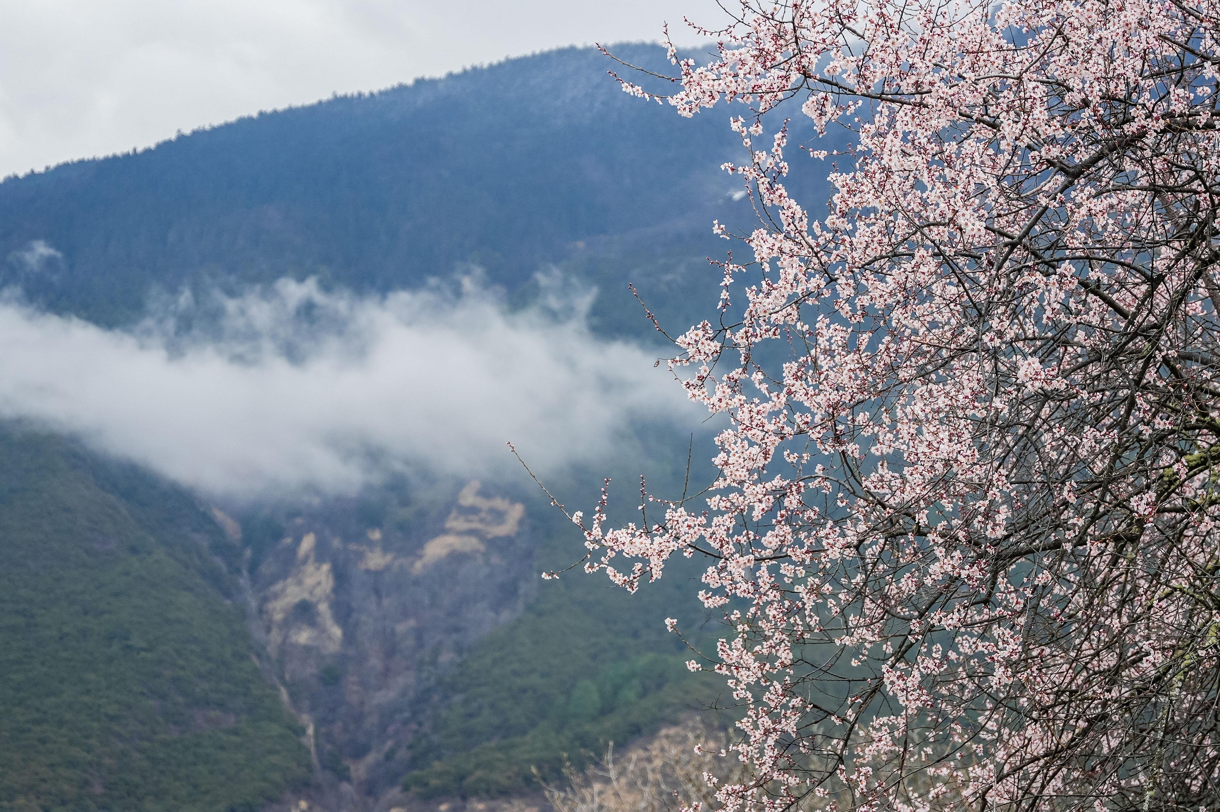 DSC07850-opq3551550422