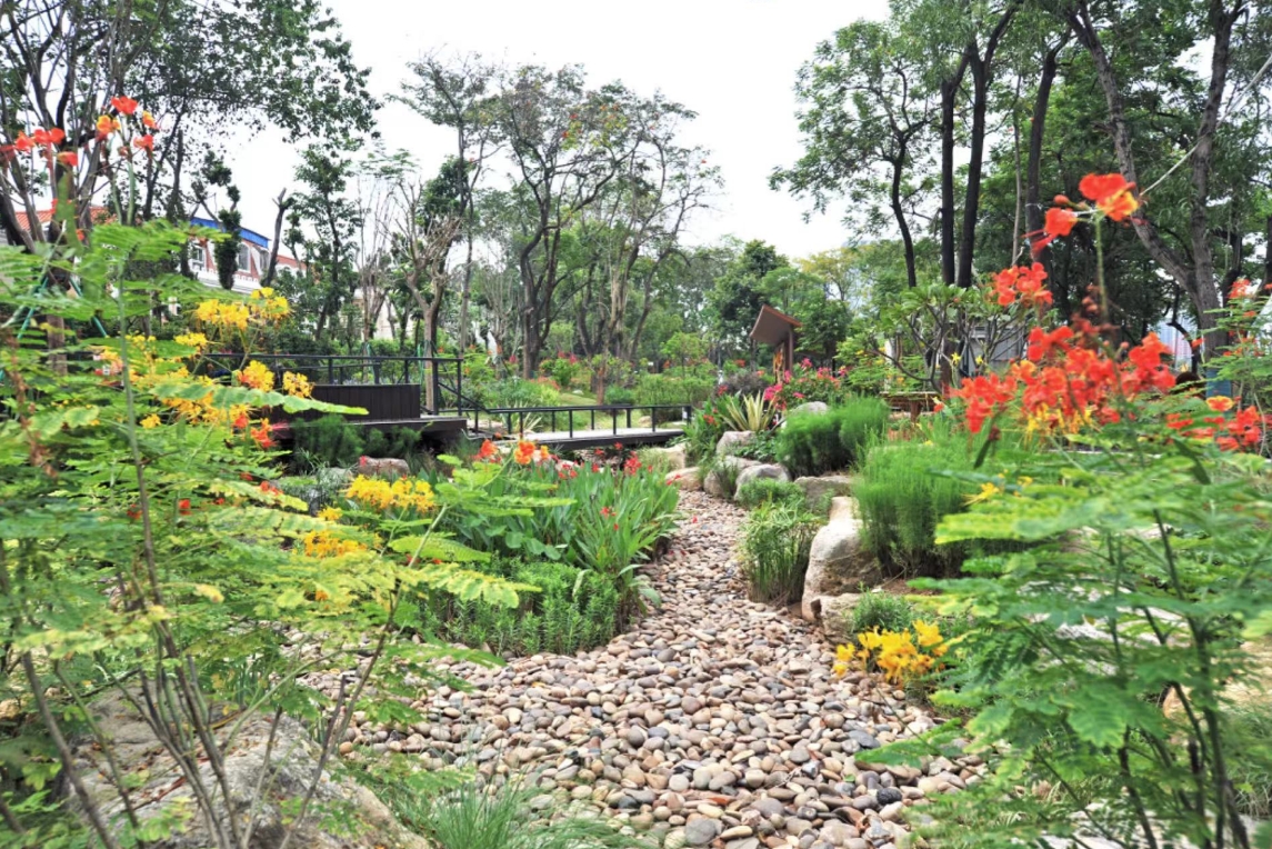 广州白云新城云憩里公园。11（广州日报全媒体记者庄小龙 通讯员王志勇摄）.png