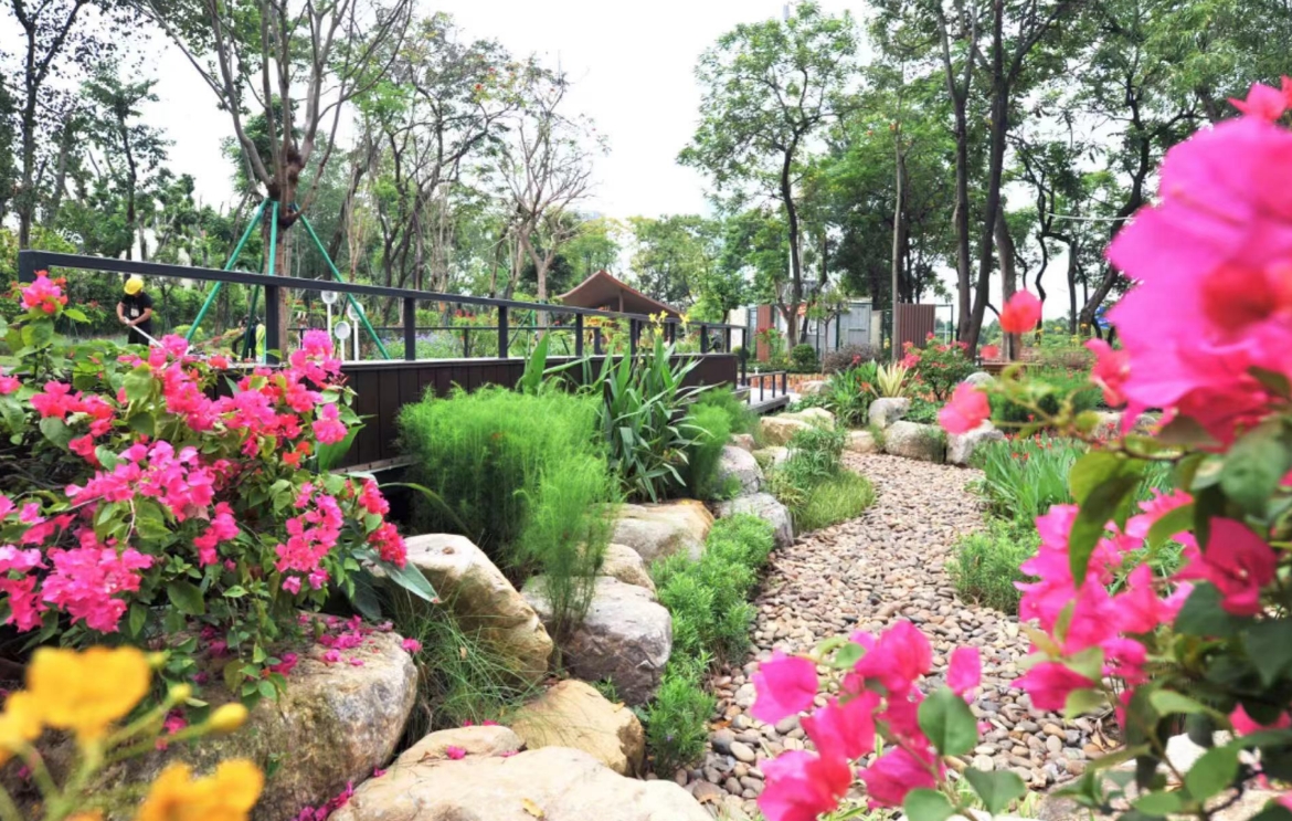 广州白云新城云憩里公园。8（广州日报全媒体记者庄小龙 通讯员王志勇摄）.png