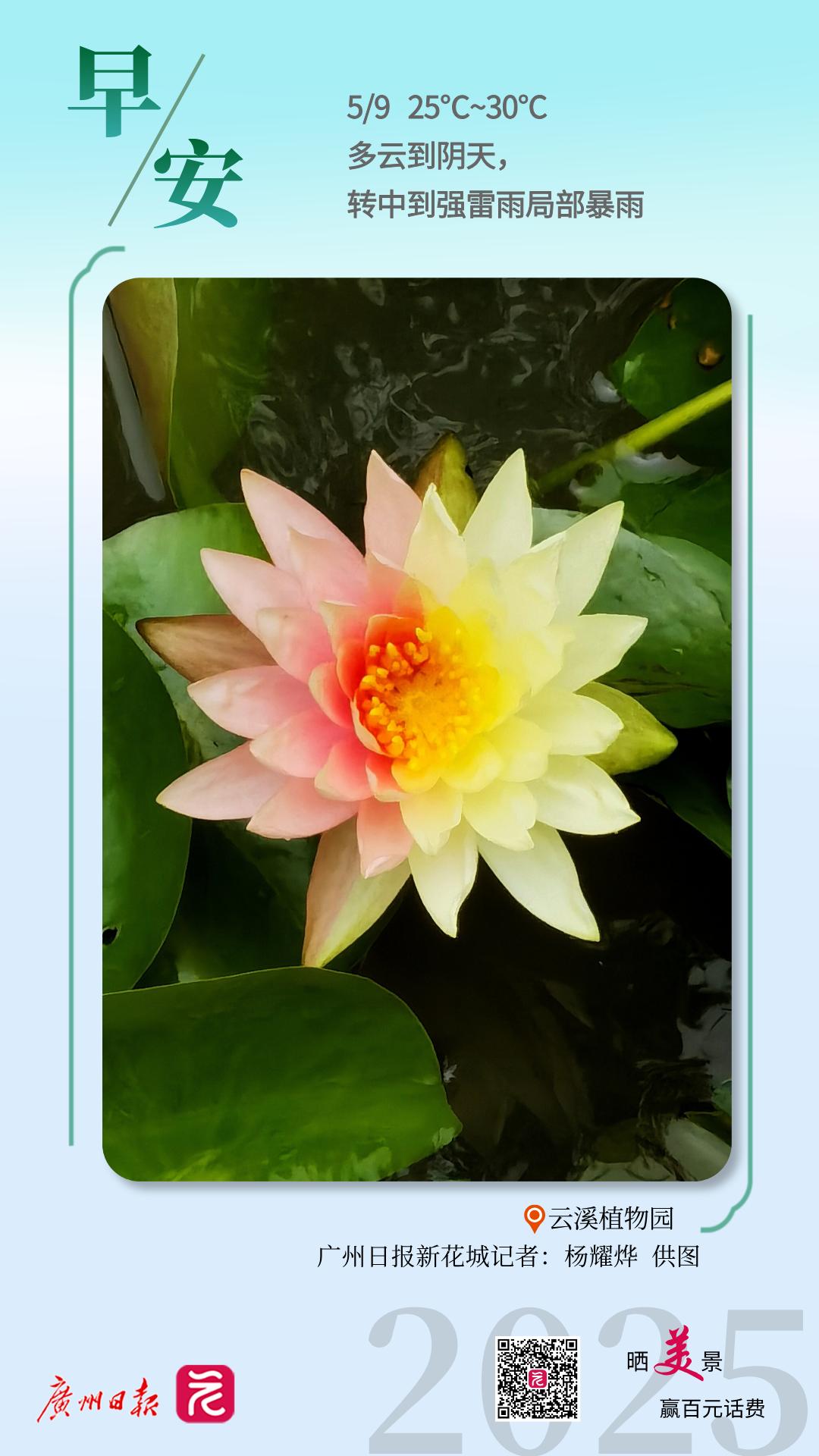 WechatIMG12084.jpg WechatIMG12084.jpg